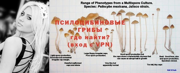 марки nbome Няндома