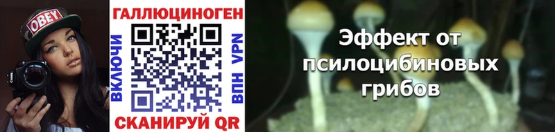 наркота  Грозный  Галлюциногенные грибы мухоморы 